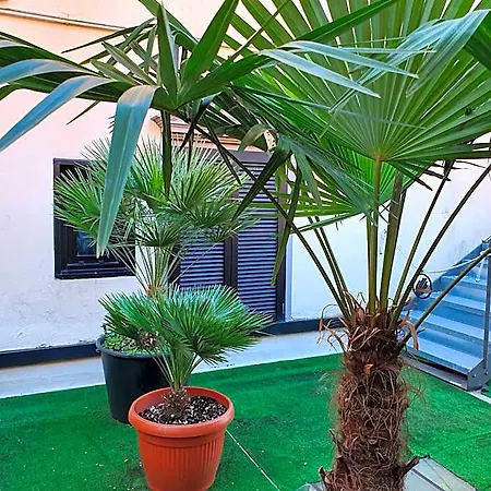 San Giorgio Hotel 3*